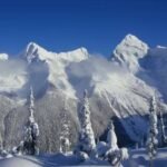 France : Le rappeur Gims placé en garde à vue