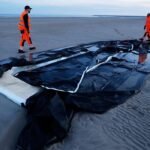 Djibouti : Une présidentielle sans véritable enjeu pour Ismaïl Omar Guelleh