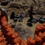 Exportations de reptiles : Le Kenya épuise sa faune