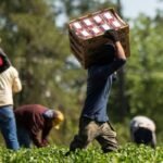 GNV : 1,3 Md€ pour le Maroc horizon 2030